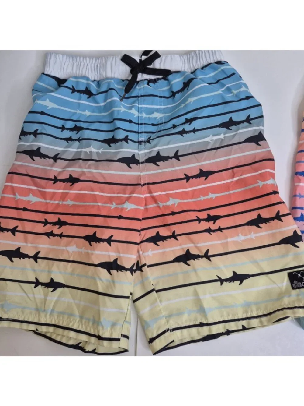Big Chill Swim Shorts Youth Boys Size 10-12 (2 Pairs)